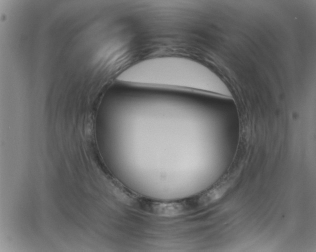 X0000065980277200603030938