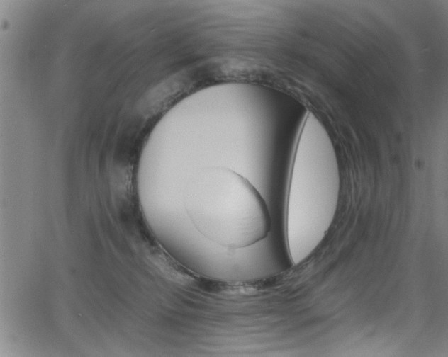 X0000065980278200603030938