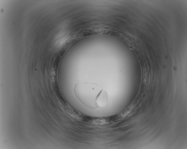 X0000065980279200603030938