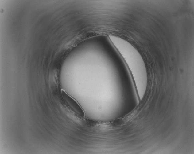 X0000065980280200603030938