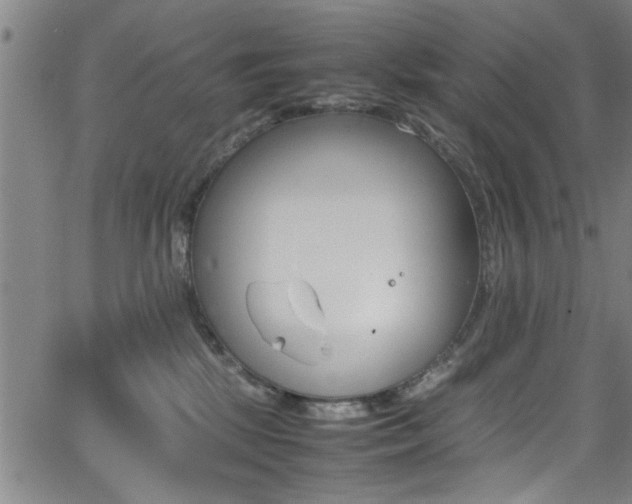 X0000065980281200603030938