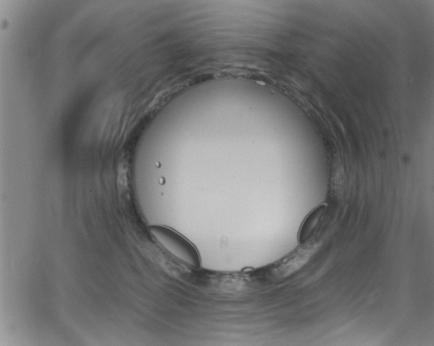 X0000065980282200603030938