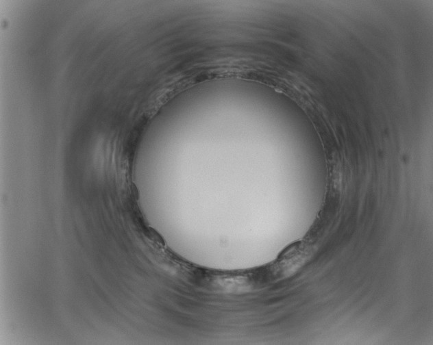 X0000065980283200603030938