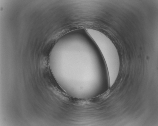 X0000065980284200603030938