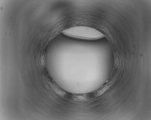 X0000065980285200603030938