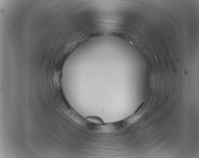 X0000065980286200603030938