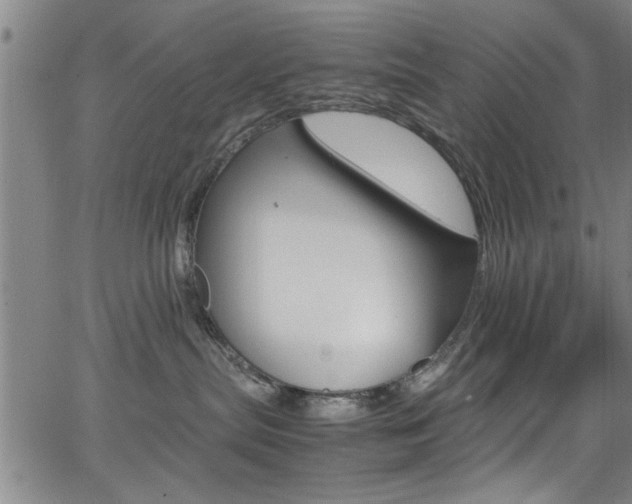 X0000065980287200603030938