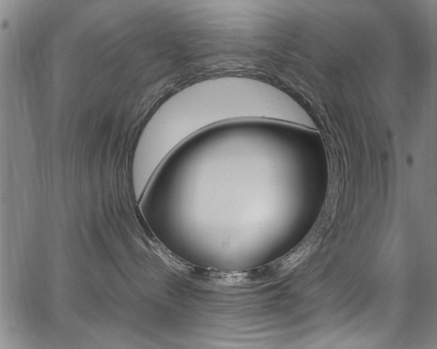 X0000065980288200603030938