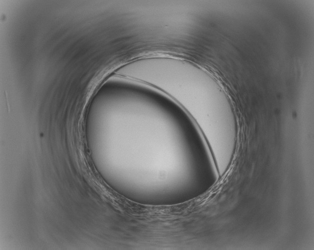 X0000065980289200603030937