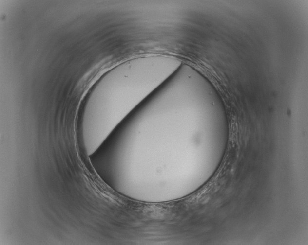 X0000065980290200603030937