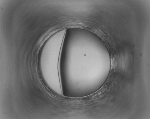 X0000065980291200603030937