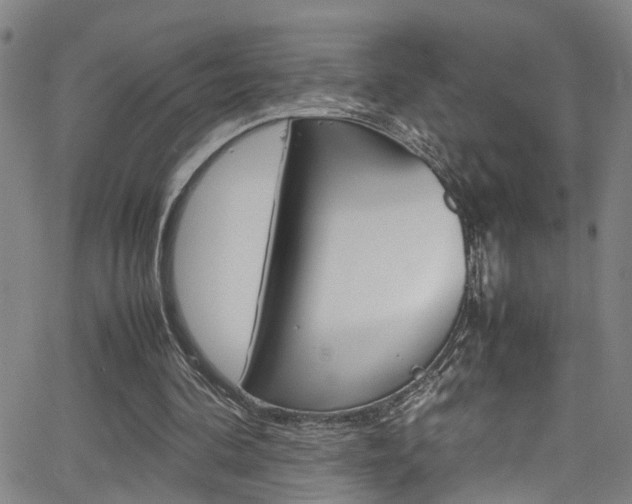 X0000065980292200603030937