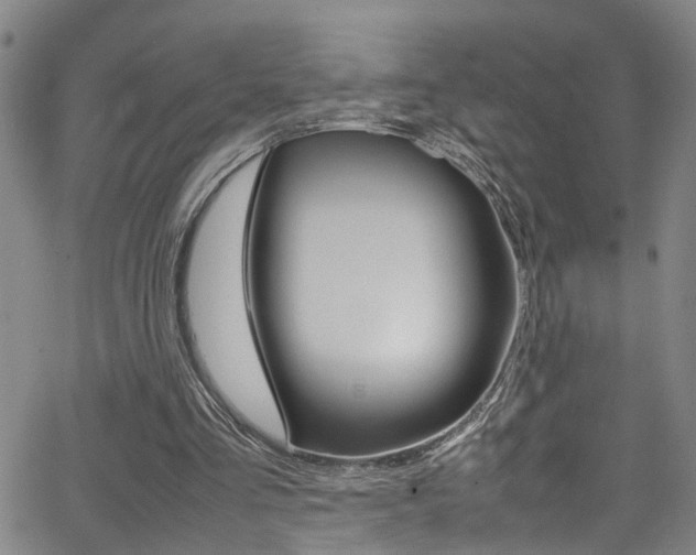 X0000065980293200603030937