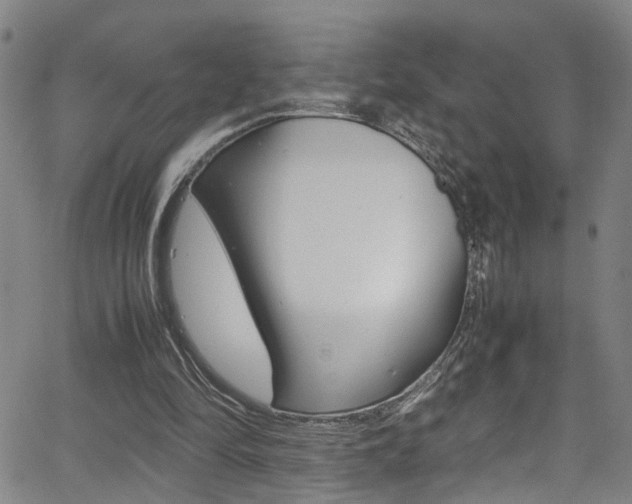 X0000065980294200603030937