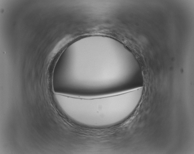 X0000065980295200603030937