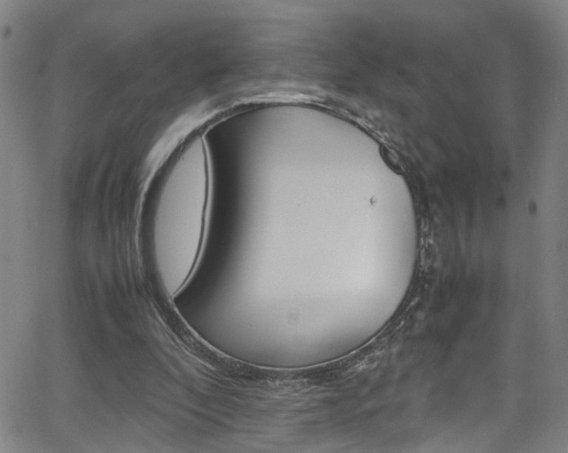 X0000065980296200603030937