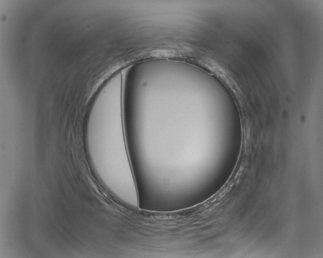 X0000065980297200603030937