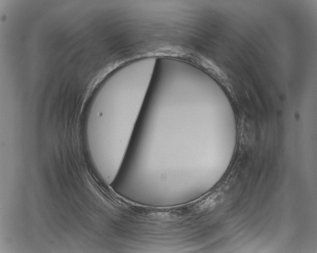 X0000065980298200603030937