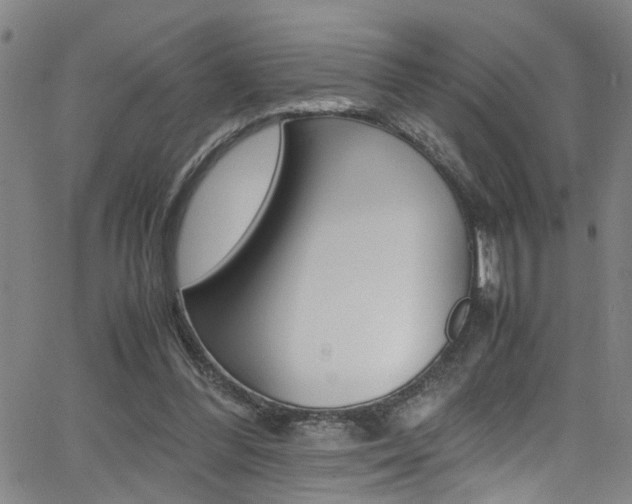 X0000065980300200603030937