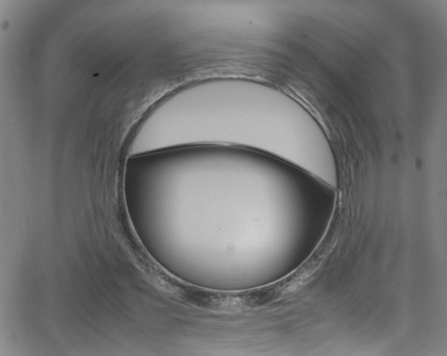 X0000065980301200603030937