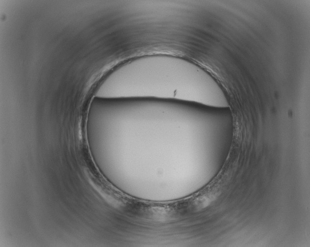 X0000065980302200603030937