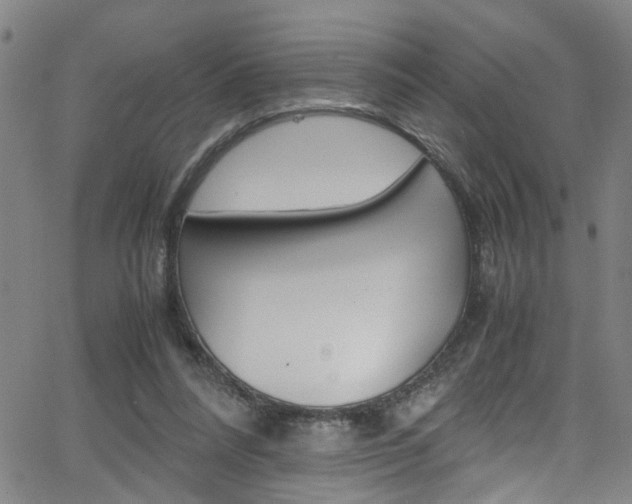 X0000065980304200603030937