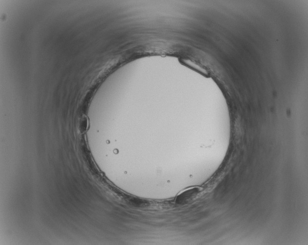 X0000065980305200603030937