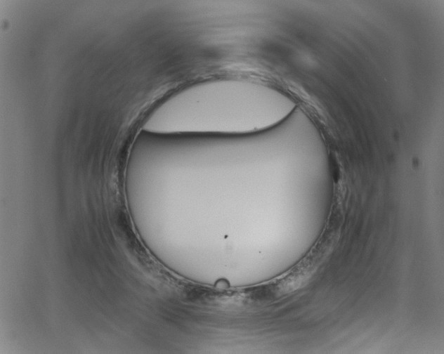 X0000065980306200603030937