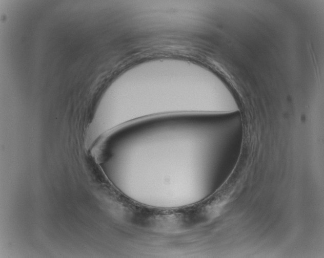 X0000065980307200603030937