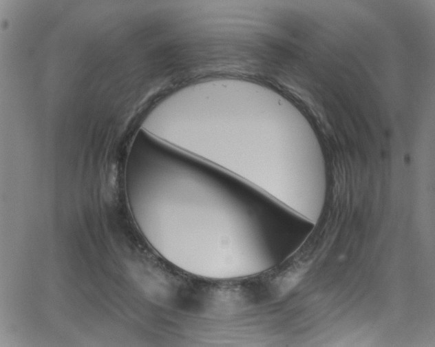 X0000065980308200603030937