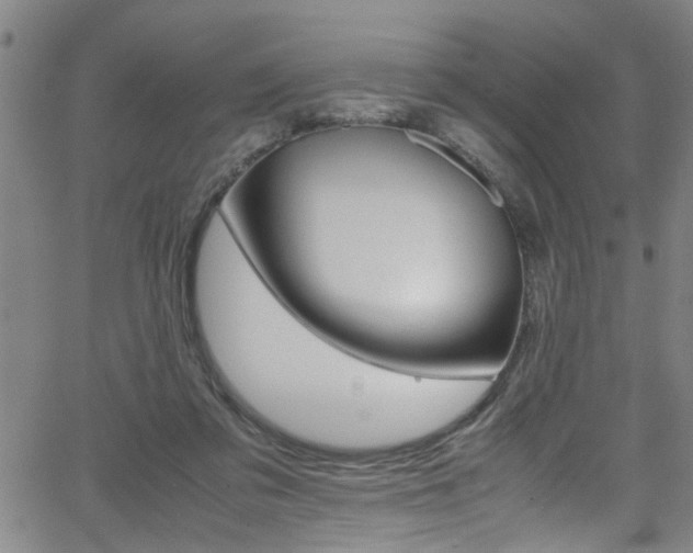 X0000065980309200603030937