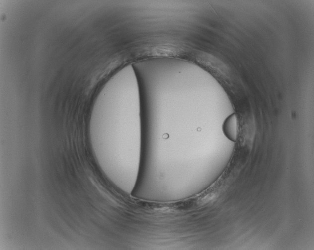 X0000065980310200603030937