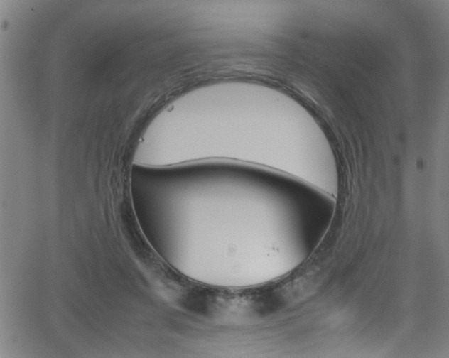 X0000065980311200603030937