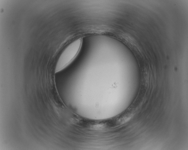 X0000065980312200603030937