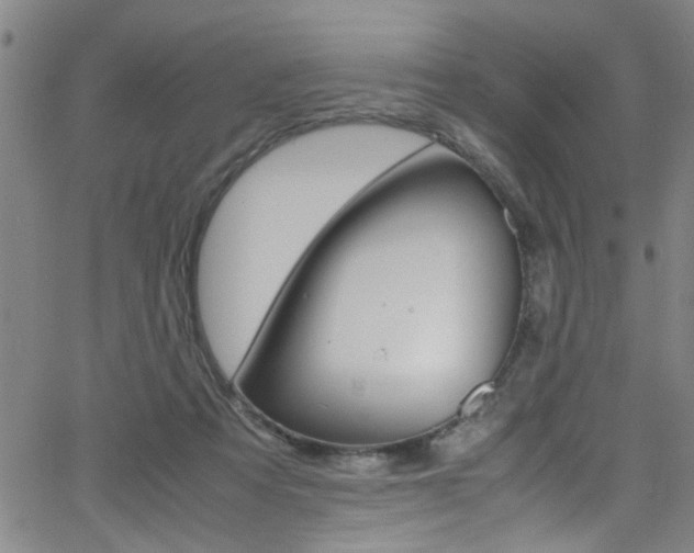 X0000065980313200603030937