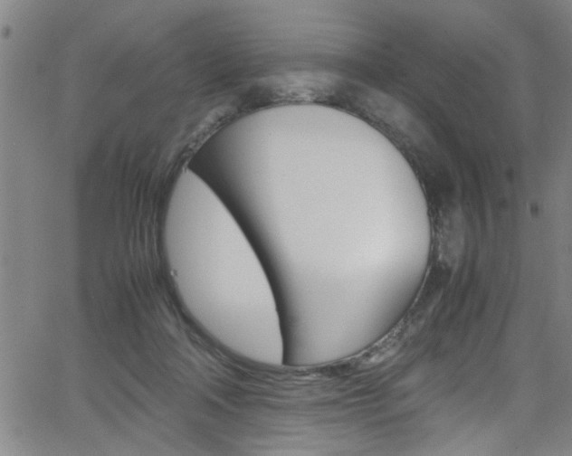 X0000065980314200603030937