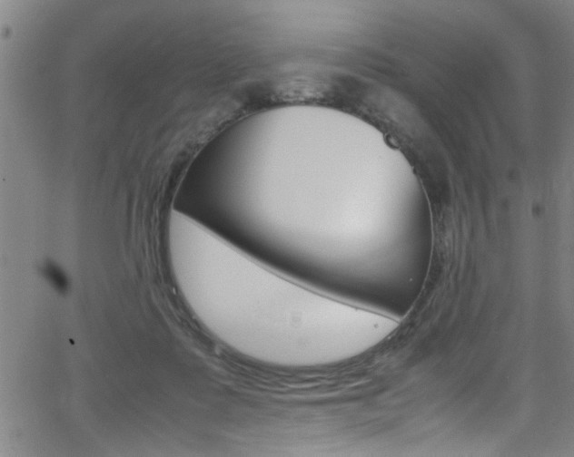 X0000065980315200603030937