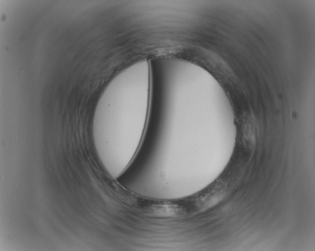 X0000065980316200603030937