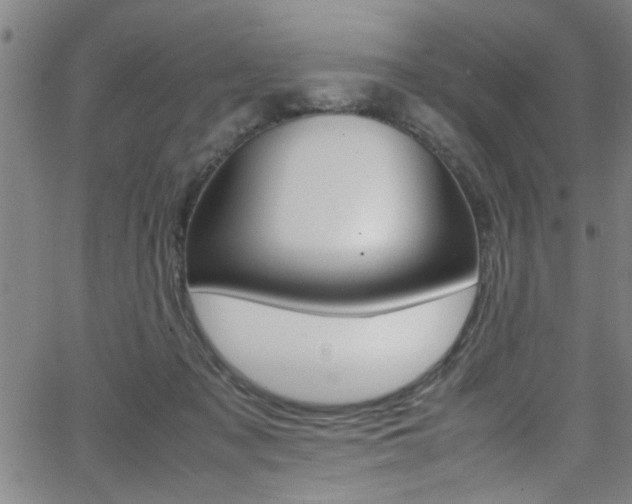 X0000065980317200603030936