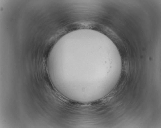 X0000065980318200603030936