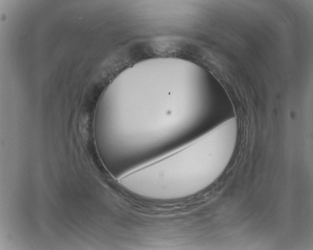 X0000065980319200603030936