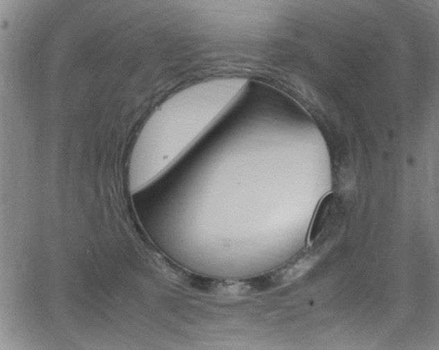 X0000065980321200603030936