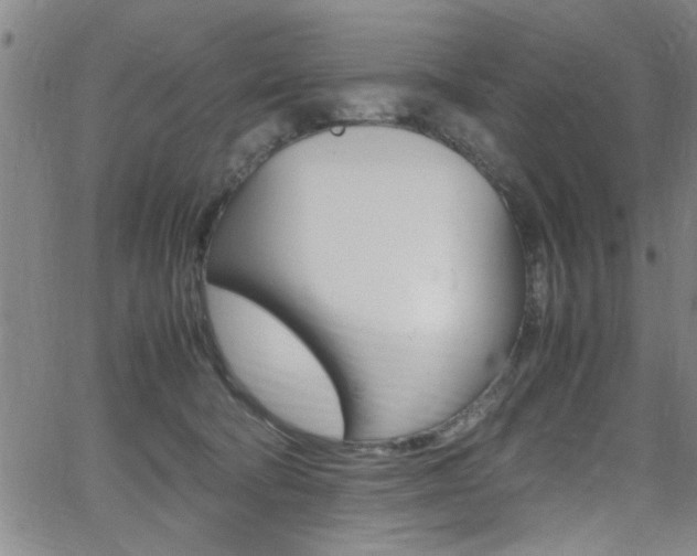 X0000065980322200603030936