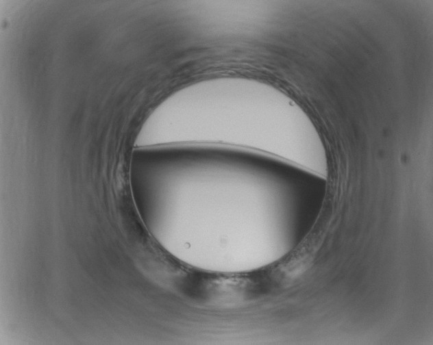 X0000065980323200603030936