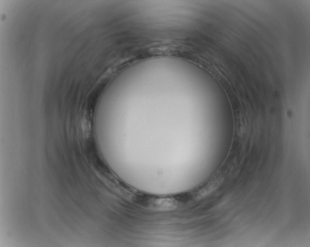 X0000065980324200603030936