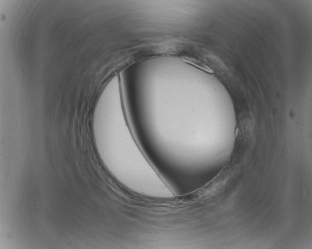 X0000065980325200603030936