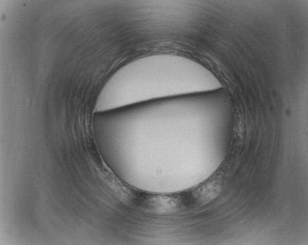 X0000065980326200603030936