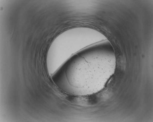 X0000065980327200603030936