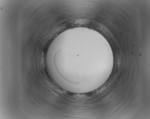 X0000065980328200603030936