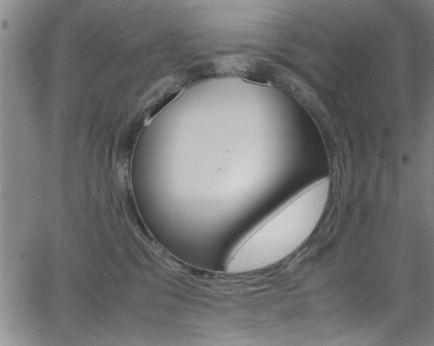 X0000065980329200603030936